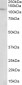 NUP107 Antibody (internal region)